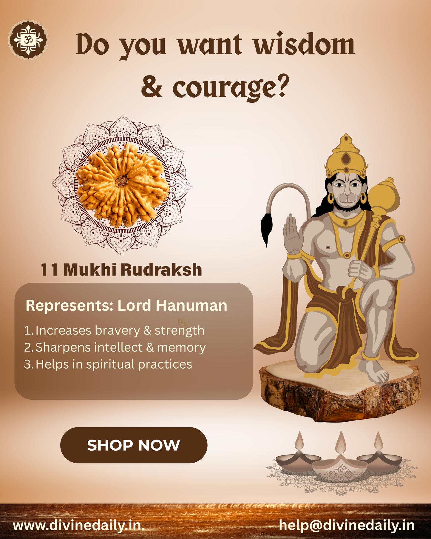 11 Mukhi Lab Tested Rudraksha