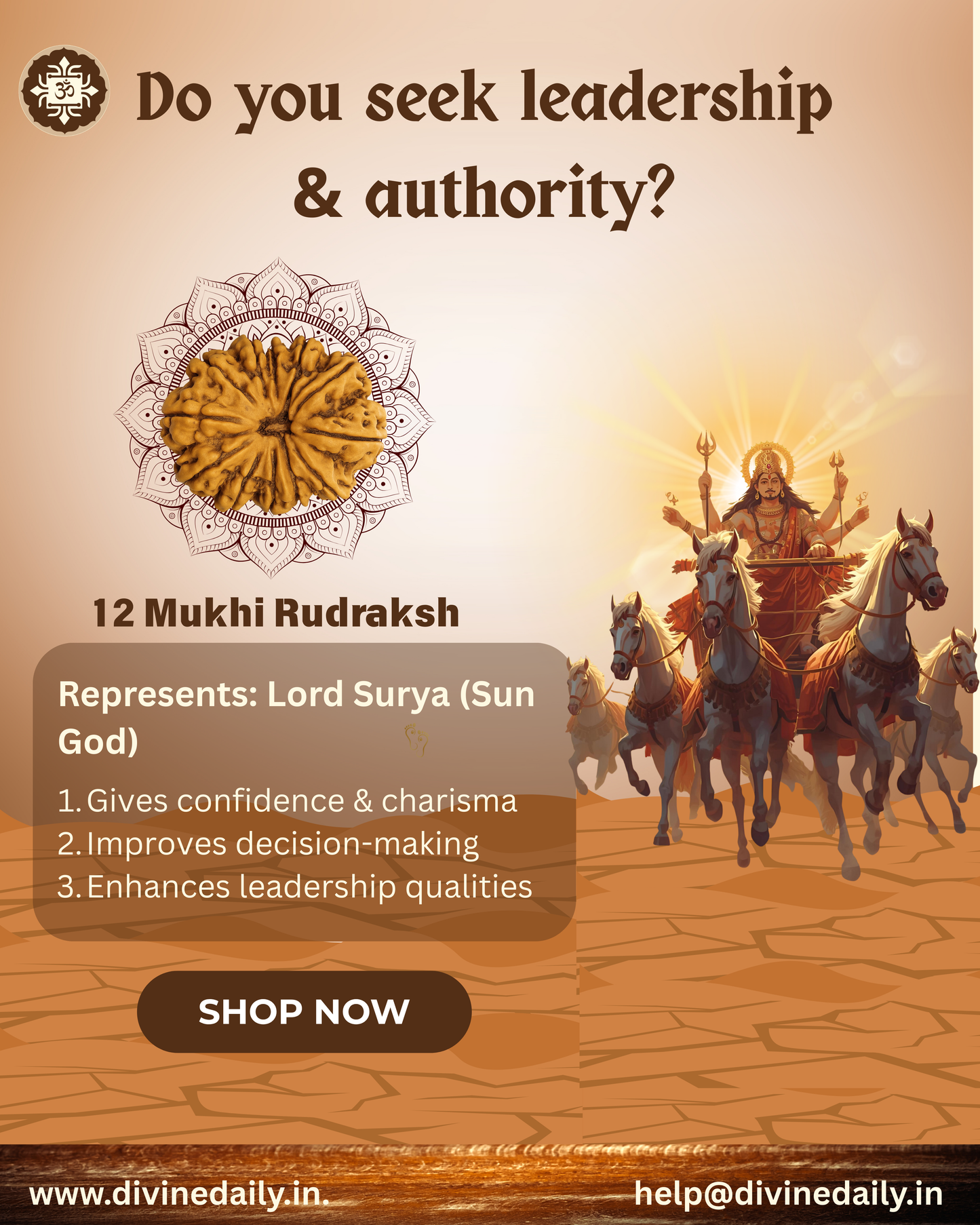 12 Mukhi Lab Tested Rudraksha