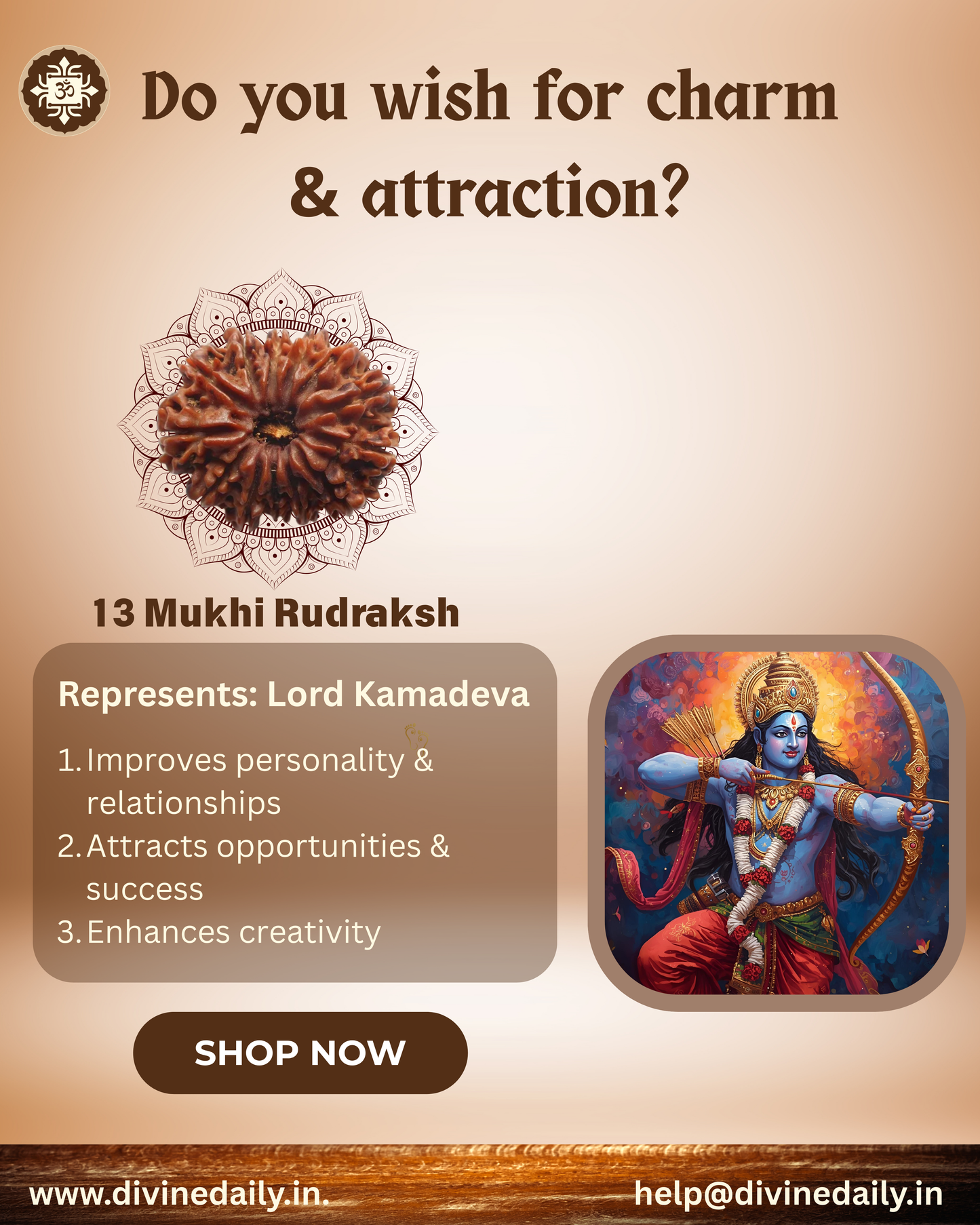13 Mukhi Lab Tested Rudraksha