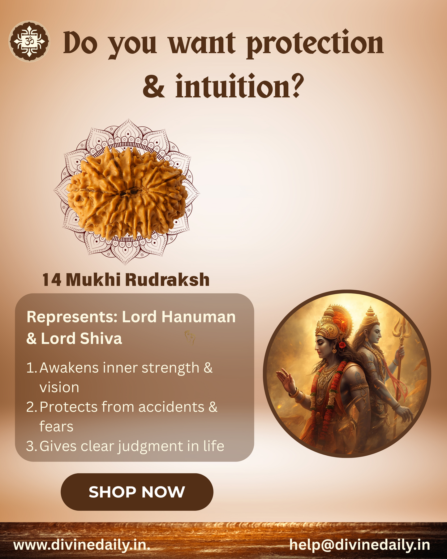 14 Mukhi Lab Tested Rudraksha