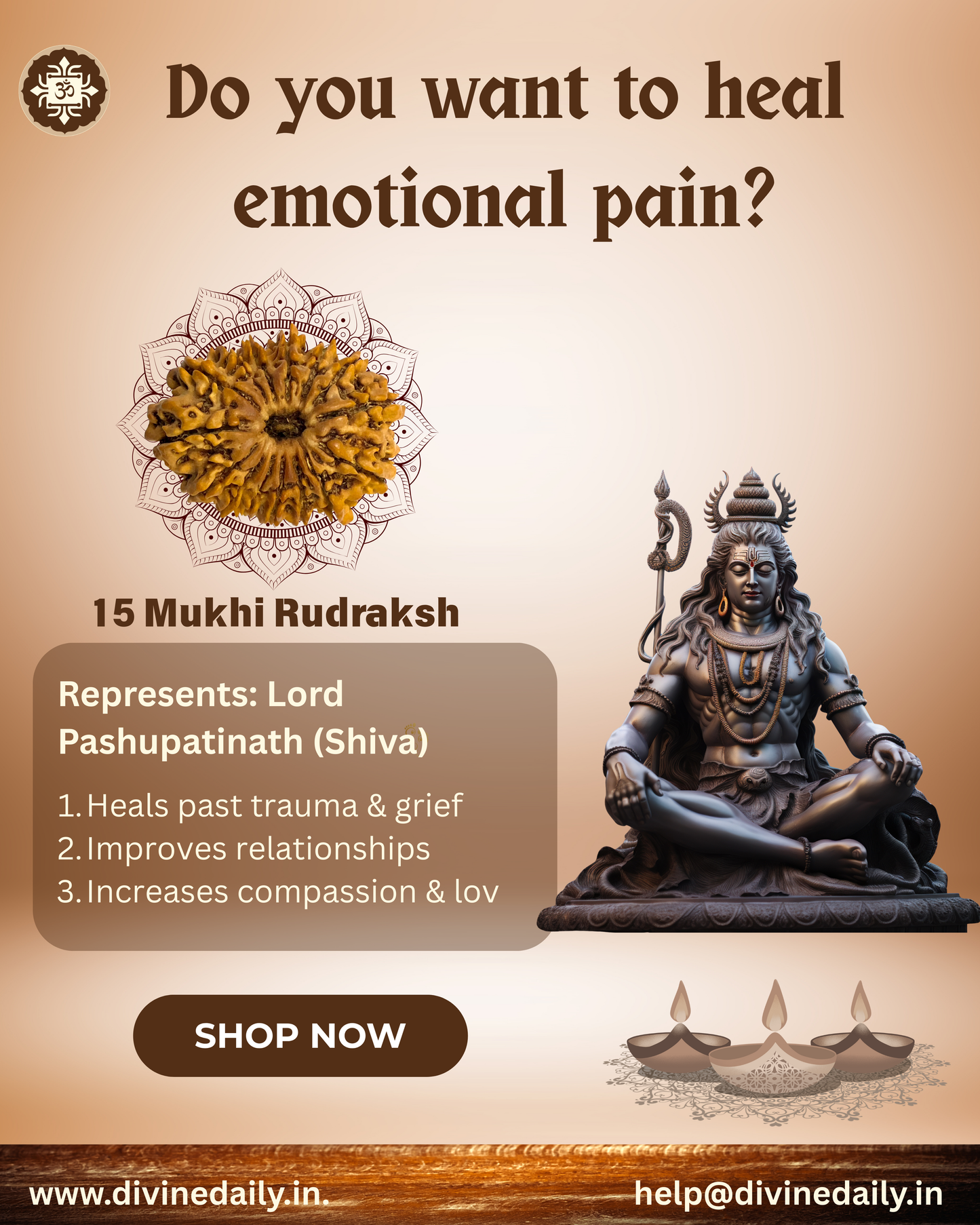 15 Mukhi Lab Tested Rudraksha