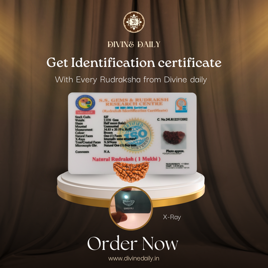 01 Mukhi Lab Tested Rudraksha