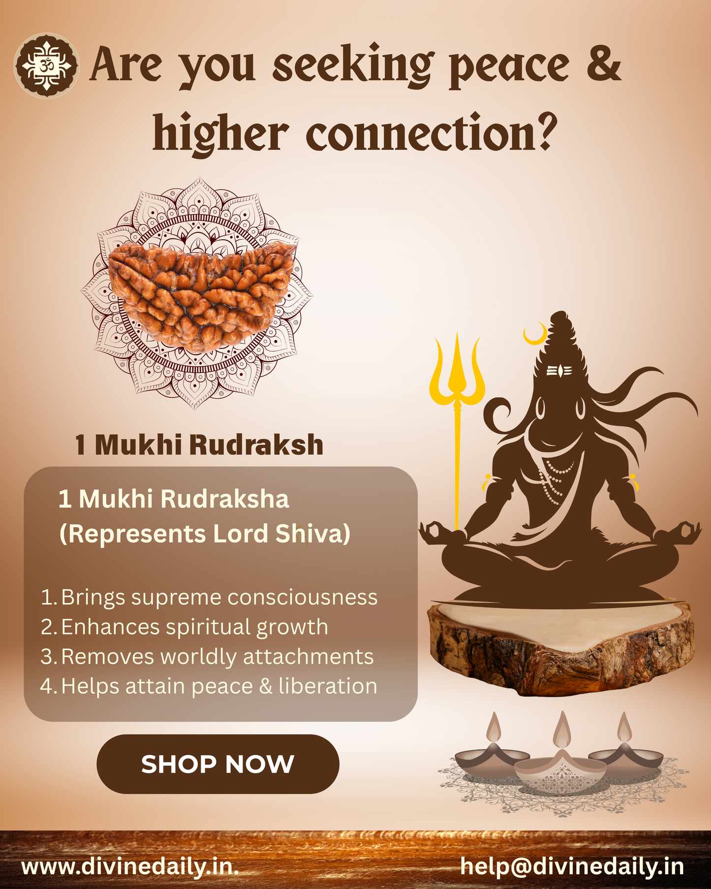 01 Mukhi Lab Tested Rudraksha