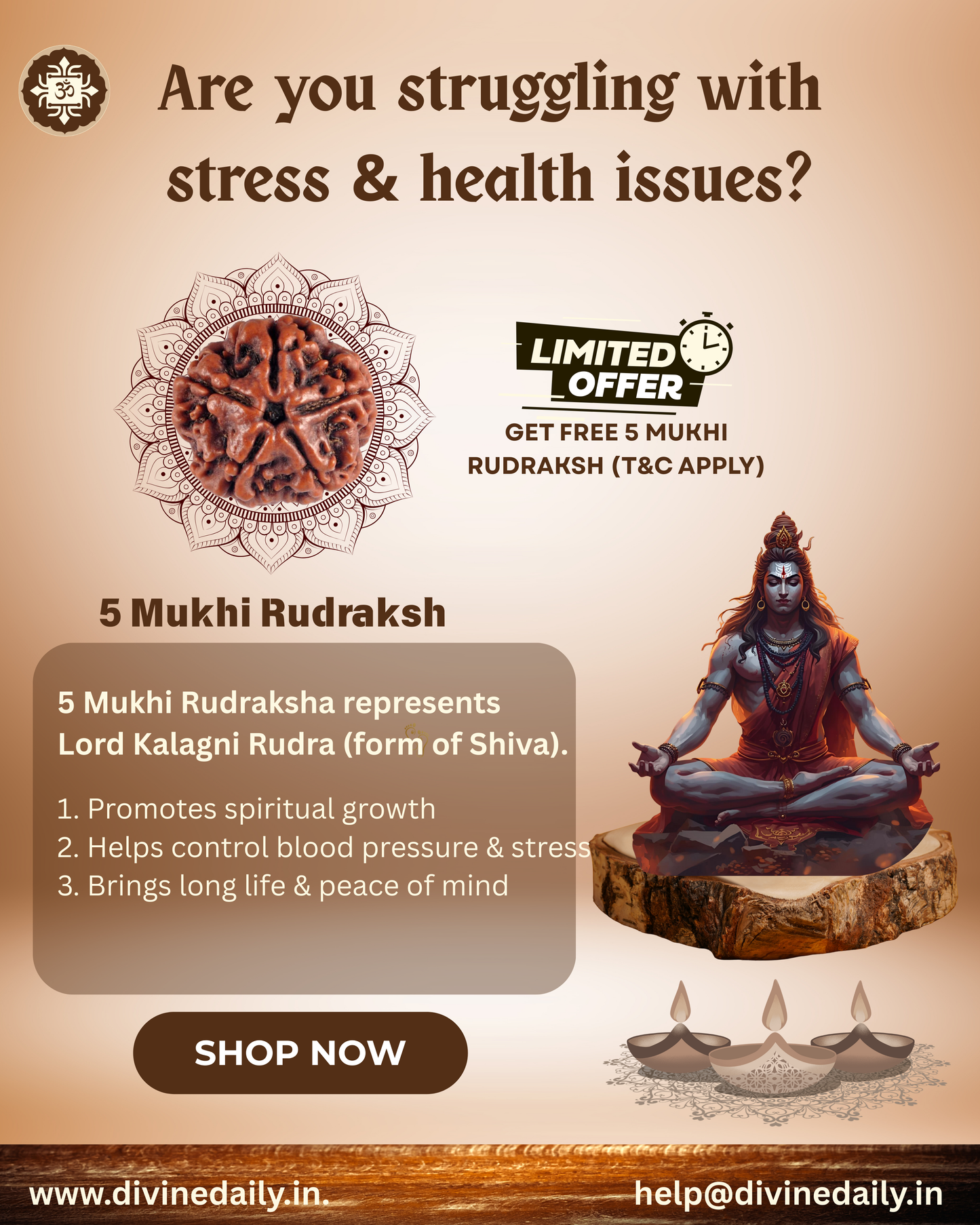 05 Mukhi Lab Tested Rudraksha