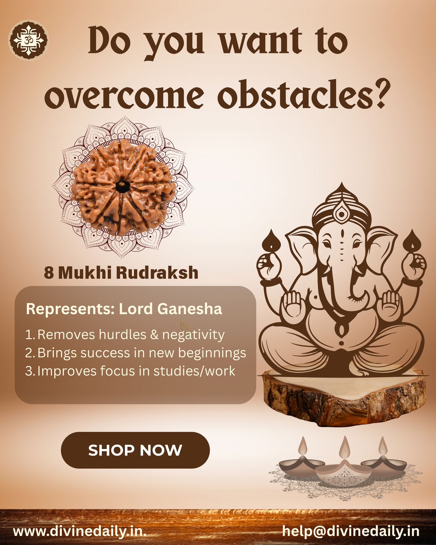 08 Mukhi Lab Tested Rudraksha
