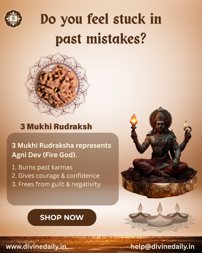 03 Mukhi Lab Tested Rudraksha