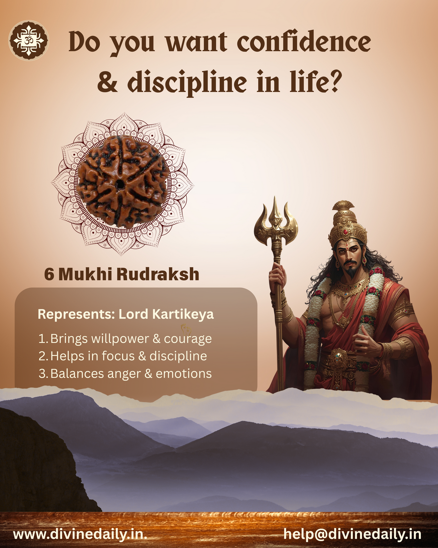 06 Mukhi Lab Tested Rudraksha